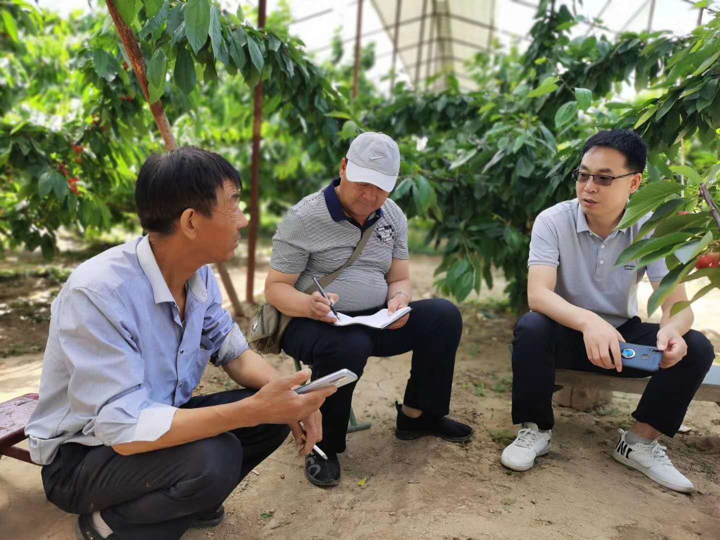1598420794223453.jpg 路老師和電視臺現場指導農戶照片.jpg