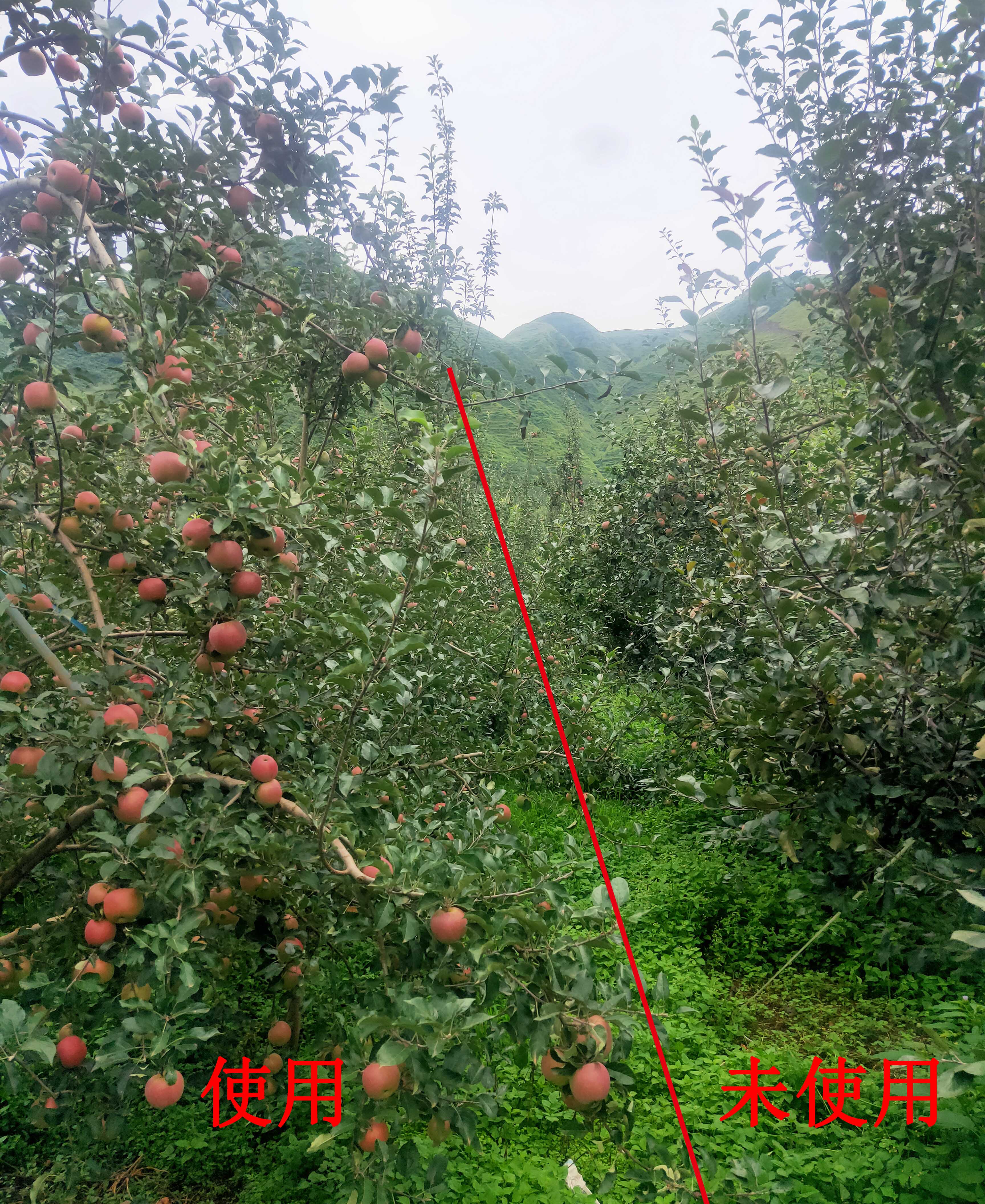 對(duì)比3.jpg